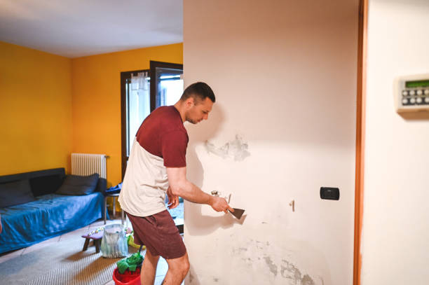 Best Water Damage Restoration  in Sweetwater, TN