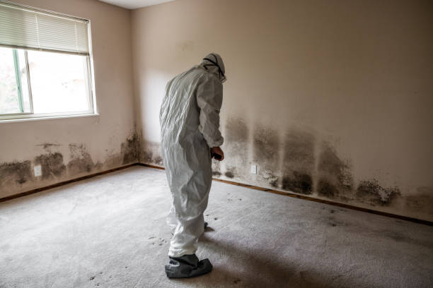 Water Damage Restoration in Sweetwater, TN